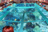 Picture of Glass Boat Tours in Dahab