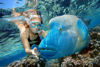 Picture of Blue Hole Snorkeling Excursions in Dahab