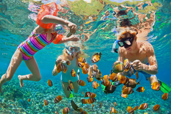 Picture of Three pools Snorkeling Trips in Dahab