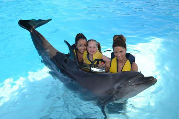 Picture of Dolphin Show Tours in Dahab