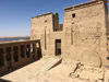 Picture of Tour to Edfu And Kom ombo from Luxor