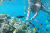 Picture of Magawish Island Hurghada Snorkeling Tours