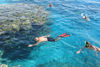 Picture of Magawish Island Hurghada Snorkeling Tours