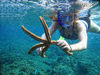 Picture of Dahab Safari and Blue Hole Snorkeling Tours