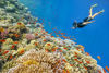 Picture of Dahab Safari and Blue Hole Snorkeling Tours