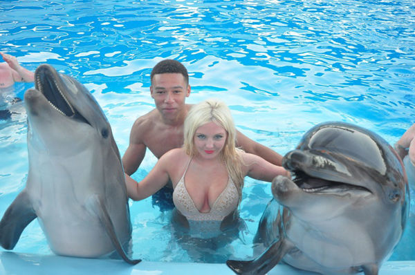 Picture of Swim with the dolphins in Sharm El Sheikh