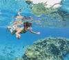 Picture of Ras Mohamed snorkeling trip from Sharm El Sheikh by Boat