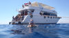 Picture of Tiran Island Snorkeling in Sharm El Sheikh