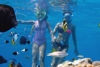 Picture of Tiran Island Snorkeling in Sharm El Sheikh