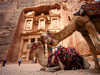 Picture of Petra Tour from Sharm El Sheikh