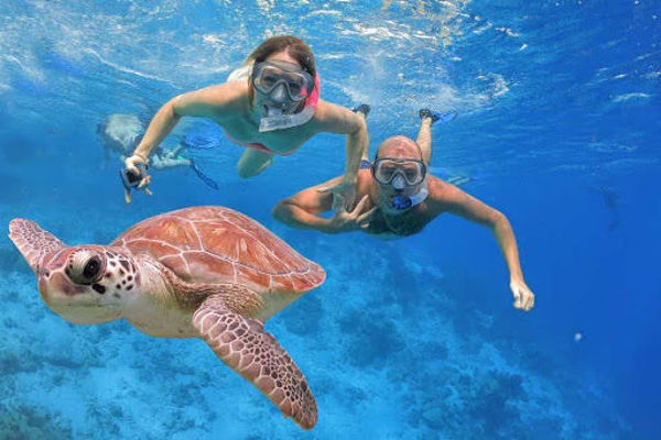 Picture of Hamata Snorkeling Tours in Marsa Alam