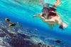 Picture of Porto Ghalib Snorkeling Tours in Marsa Alam