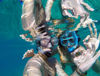 Picture of Blue lagoon Snorkeling tour from Marsa Alam