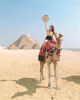 Picture of Cairo, Aswan, Abu Simbel and Luxor Tour Package