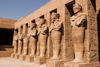 Picture of Cairo, Luxor and Hurghada Tours